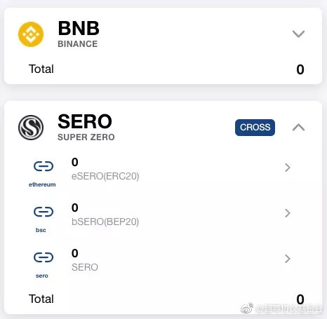 SERO 已完成对币安智能链(BSC)的跨链功能