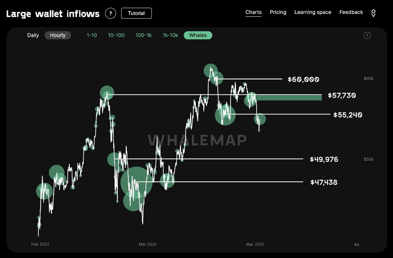 BTC钱包大量流入 资料来源：Whalemap