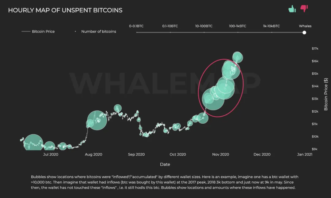 比特币巨鲸集群表明“机构FOMO”正推动比特币上涨