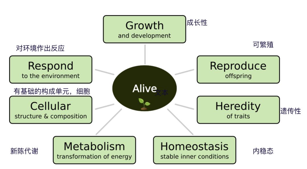 Proof of Life：为什么说比特币是一种生命体？