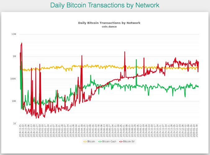 BCH, BSV double currency halved, the subsequent impact on BTC geometry?