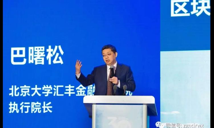 北京大学巴曙松：区块链如何赋能农村金融？